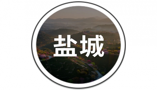   鹽城：設(shè)立30億的還貸過(guò)橋資金池、20億債務(wù)風(fēng)險(xiǎn)化解周轉(zhuǎn)金