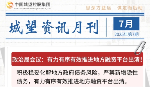 城望資訊7月刊丨有力有序有效推進(jìn)地方融資平臺(tái)出清！