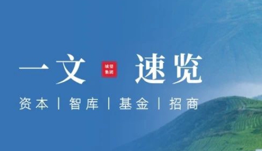 防隱債！政府與國企投資項目如何界定？