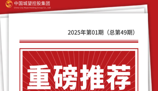 重磅推薦丨城望內(nèi)參：“十五五”規(guī)劃編制全景指南
