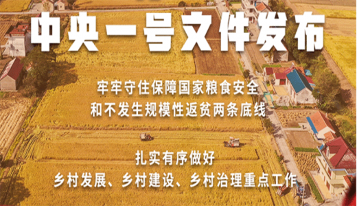 【2022年中央一號文件】穩住農業基本盤 接續全面推進鄉村振興